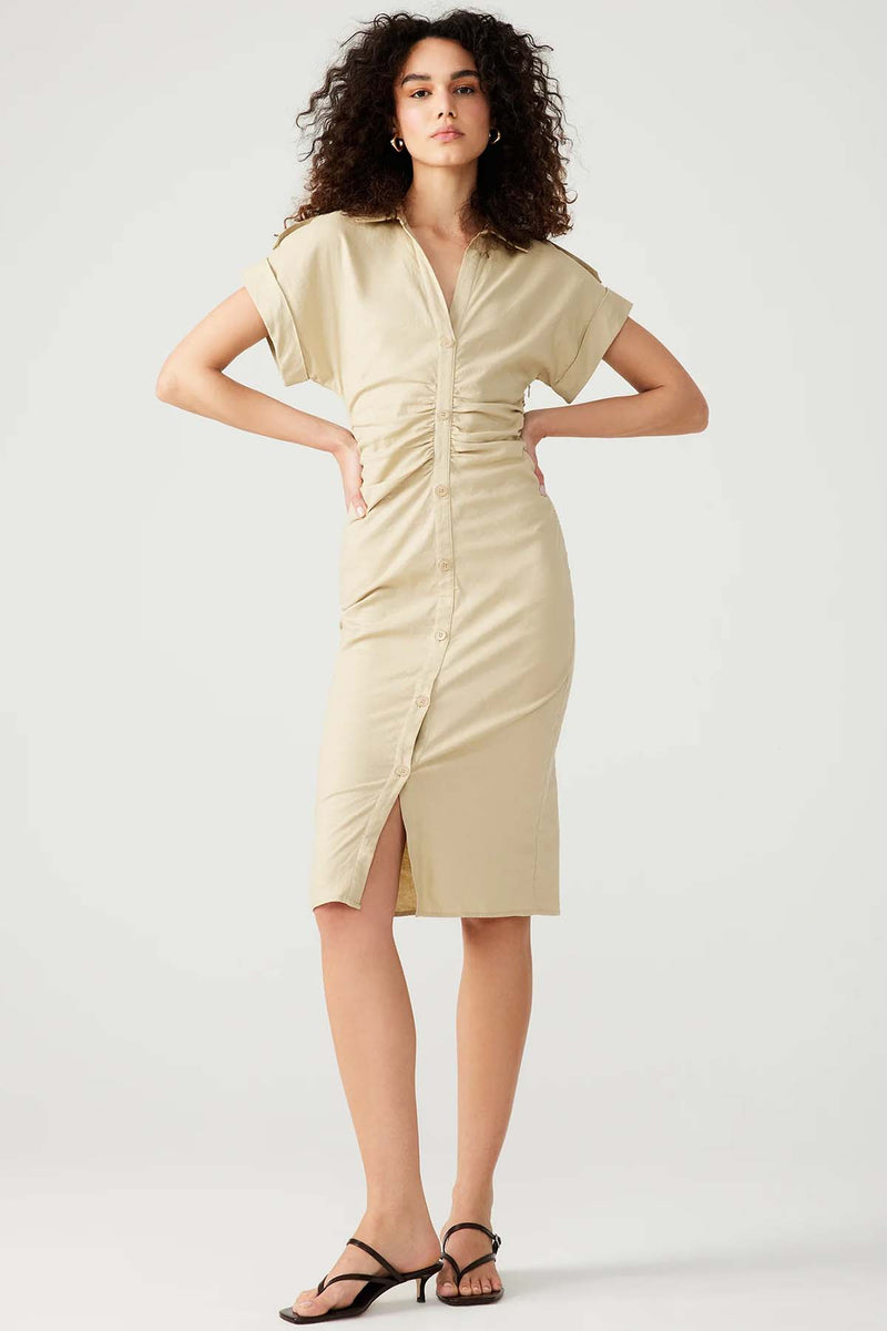 cambrie wood thrush dress