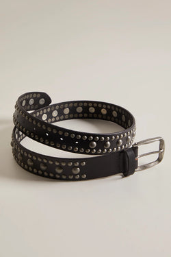 sola stud belt | black